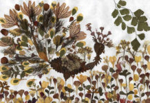 Creare un quadro con i fiori secchi 1148 0 Un quadro con i fiori secchi_OK